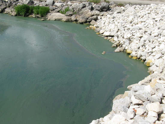 Lake Erie